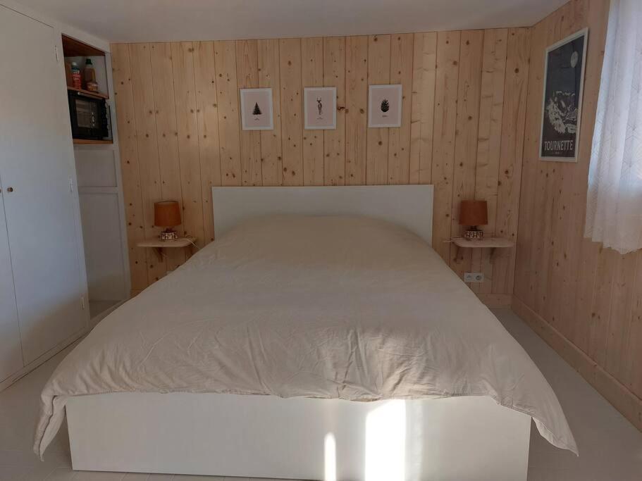 Studio Chez Suzanne Saint-Jorioz Extérieur photo